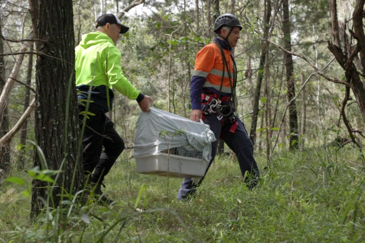 EVE article gallery image 12